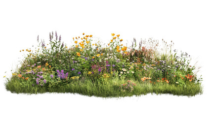 Spring flower meadow transparent background