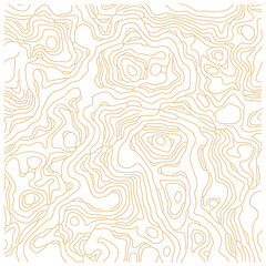 Topography Pattern
