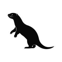 Otter  +squirrel selotte mongoose vector design