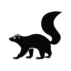Squirrel Selotte katberale rat vector design
