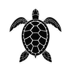 Turle +tortoise Selotte vector design