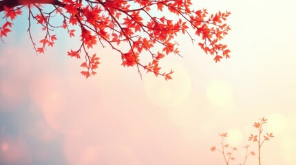 Fototapeta premium autumn leaves background