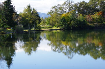 湖畔の緑 K3DP1480