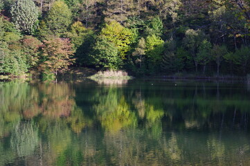 緑が池に反映1 K3DP1491