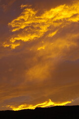 黄金の雲1  K3DP1436