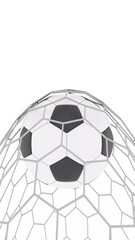 soccer ball is scored.,Be a winner by scoring.soccer ball on a white background.,3d rendering