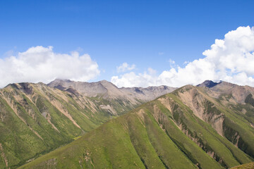Naklejka premium landscape with sky