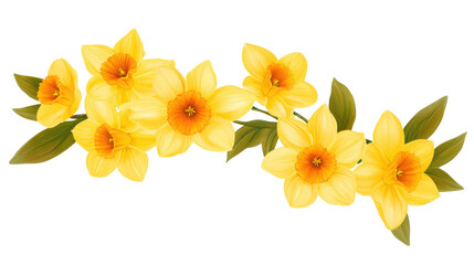 Yellow flower transparent background