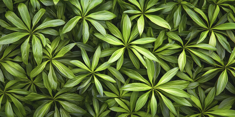 Top view of green leaves in the garden, flat lay composition, generative AI