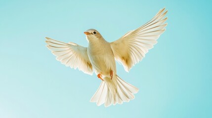 Obraz premium A white bird gracefully soaring against a clear blue sky.