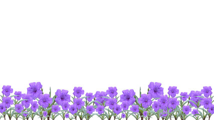 purple flower isolated on transparent background, bottom background