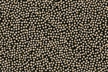 a close up of a black and gold flower pattern with a black background