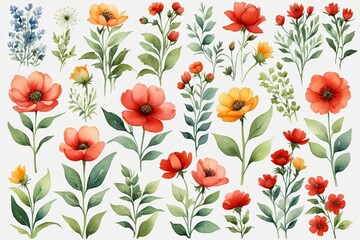 there are many different flowers and leaves on this white background