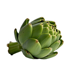 Artichokes 
