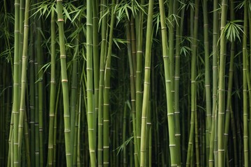 Fototapeta premium arafed bamboo trees with green stems and leaves in a forest