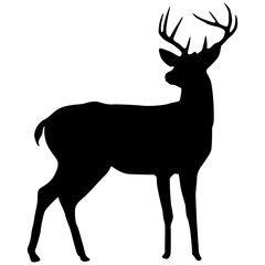 Obraz premium Isolated black silhouettes of wild deers in white background. Vector illustration