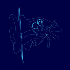 Blue drawing of a internal structure human ear.. The ear is shown in detail. Concept of curiosity and wonder