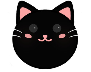 black cat