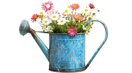 Flowers in a watering can transparent background
