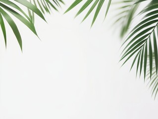 Naklejka premium Lush green palm leaves frame a bright, minimalistic background.