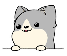 Corgi peeking out and looking at the upper left A(gray)