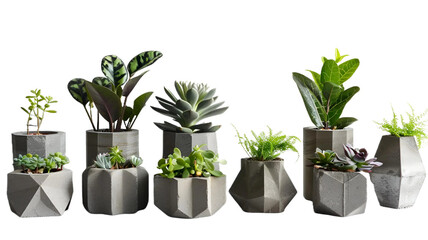 Concrete Planters on transparent background PNG.
