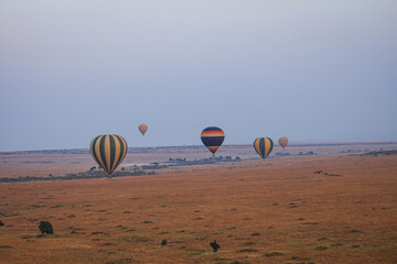 Drifting over Masai Mara by hot air balloon, witness breathtaking sunrises, vast savannahs,...