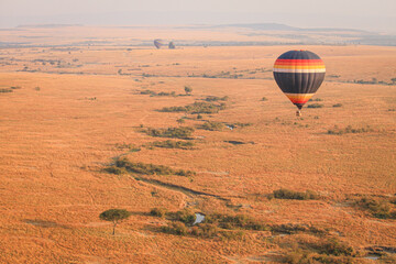 The Great WildeBeest Migration from the Hot Air Balloon Maasai Mara, Kenya: Against the backdrop of...