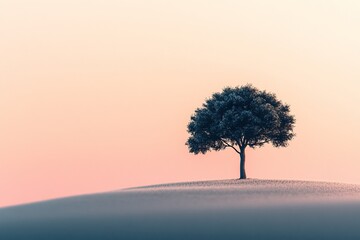 Solitary tree sunset hill landscape, peaceful nature scene