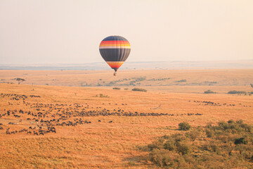 The Great WildeBeest Migration from the Hot Air Balloon Maasai Mara, Kenya: Against the backdrop of...