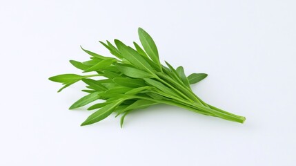 Obraz premium Fresh green herbs arranged on a white background.