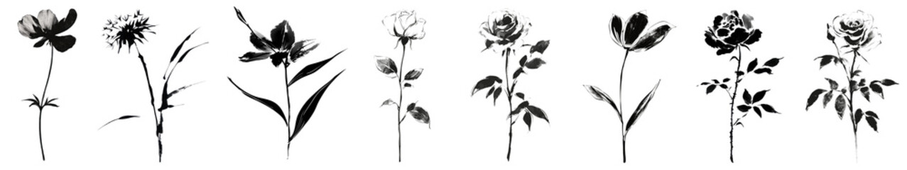 Obraz premium PNG Elegant floral silhouette designs, element set on transparent background