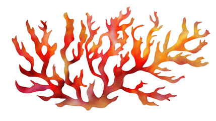 Vibrant coral illustration with red and orange hues