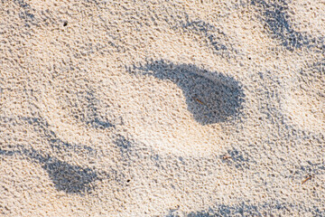 Texture of sand on the beach
