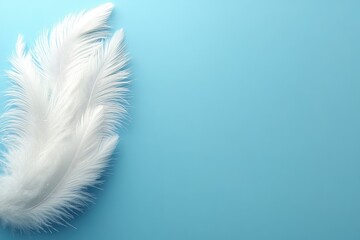 Obraz premium Two white feathers on a blue background. Perfect for designs needing lightness, purity, or serenity.