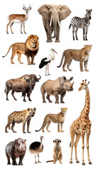 Naklejka premium PNG African animal element set, transparent background