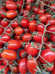 Tomatoes in culinary uses. Good Quality Imported Tomatoes. Freshly imported, ideal for cooking or eaten raw, tomatoes on vine, or individually, they served their purpose well.