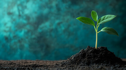 A young plant emerging from rich soil.