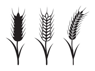 Ear of Wheat, Barley or Rye. Vector icon isolated on white background