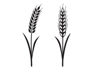 Ear of Wheat, Barley or Rye. Vector icon isolated on white background