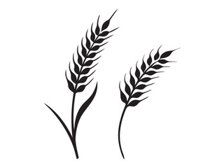 Ear of Wheat, Barley or Rye. Vector icon isolated on white background