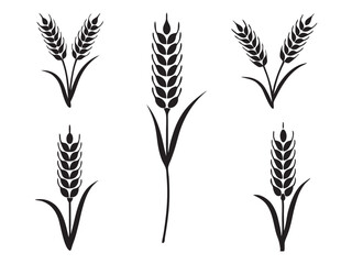 Ear of Wheat, Barley or Rye. Vector icon isolated on white background