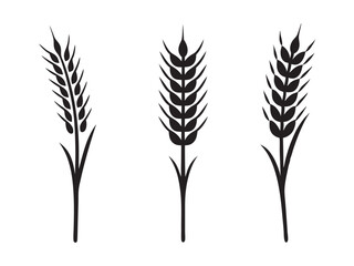 Ear of Wheat, Barley or Rye. Vector icon isolated on white background