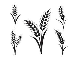 Ear of Wheat, Barley or Rye. Vector icon isolated on white background