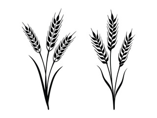 Ear of Wheat, Barley or Rye. Vector icon isolated on white background