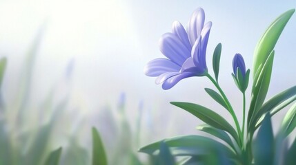 Serene Lavender Flower in Soft Focus Spring Bloom Nature Scene