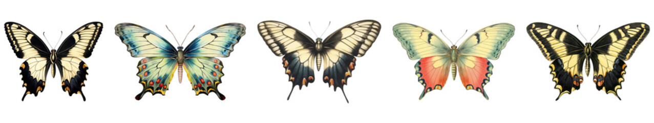 Naklejka premium Colorful butterflies png cut out element set, transparent background