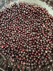 Mountain grown organic huckleberries