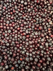 Mountain grown organic huckleberries