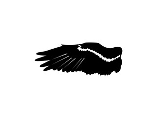 Wings vector Design Art  Illustration